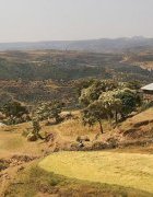 L’Ethiopie s’inspire de l’expérience de Tigray pour reverdir...