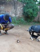 Une approche intégrée de valorisation de la filière...