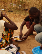 De l’alimentation à la nutrition : réflexion pour un...