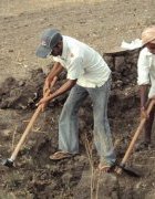 Renforcer la résilience : le plus grand filet de...