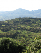 Une décennie de réflexion sur la gestion intégrée...