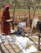 Garantir un accès permanant au financement pour assurer...