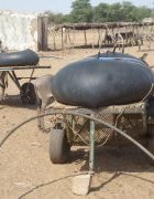 Résilience des pasteurs en zones semi-arides : les stratégies...