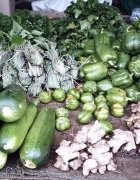 Agriculture, biodiversité et communautés : une équation plausible ?