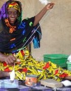 Atelier de lancement du projet de promotion de l’économie verte au Sénégal