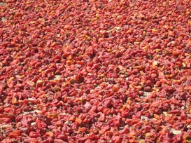 Séchage de poivron à Diffa Séchage de poivron à Diffa