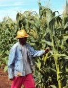 Appel à contribution AGRIDAPE Vol. 30.2 – « Agriculture familiale et lutte contre la pauvreté »