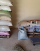 La banque céréalière villageoise, un bouclier contre l’insécurité...