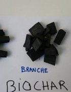 Le Biochar : un charbon biologique adaptés aux sols...