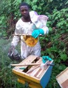 L’ entrepreunariat agricole des jeunes au Cameroun : Brice...