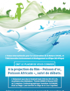 Projection-débat autour du film « Poisson d’or, Poisson Africain »