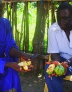 Editorial : Graine novatrice