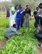 Lu pour vous : Evaluation des pratiques agroécologiques : les...