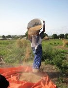 Les sentiers de la souveraineté alimentaire