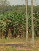 Relations campagne et la ville : deux réalités complémentaires...