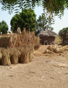 Promouvoir une meilleure gestion de l’espace agricole pour...