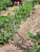 Fissel, Ngoye et Ndiognick : Les élus locaux sensibilisés à la mise en oeuvre de la RNA