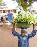 Patrimoine alimentaire négligé au Cameroun : à la découverte...