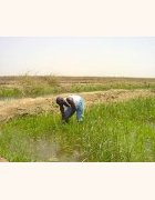 Environnement et développement rural