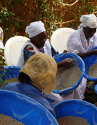 Approvisionnement des villes du Sahel en céréales transformées :...