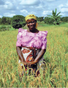 Les femmes, principales actrices de la diffusion du...