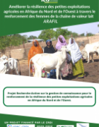 Améliorer la résilience des petites exploitations agricoles en Afrique du Nord et de l’Ouest à travers le renforcement des femmes de la chaîne de valeur lait ARAFI