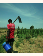 Atelier d’apprentissage et de partage sur l’agrobiodiversité au Sénégal :   « Cultiver la diversité pour des exploitations familiales durables »