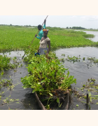 Appel à contributions : Faire face aux risques climatiques