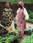 Sans Limite : 68 femmes outillées en leadership féminin à Kaffrine