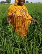 Iedinfos : Le PRESA veut améliorer l’efficacité du PSE