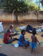 Redynamisation de la filière maïs pour lutter contre...