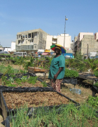 Enjeux d’un aménagement du territoire autour de la...