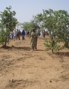 De la vulnérabilité à la résilience en Afrique