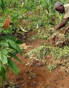 Etude de la PROPAC sur les changements climatiques :...