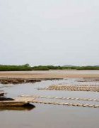 Transition verte dans les pêcheries au Sénégal : la...
