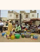 PROFEIS : Promouvoir l’expérimentation et l’innovation paysannes au Sahel