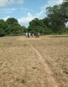 Ipar : « Comprendre les changements dans l’accès au foncier par les populations rurales pauvres en Afrique Subsaharienne : le cas du Sénégal ».