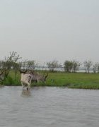 Editorial : EbA ou agroécologie