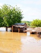 Impacts des changements climatiques et problématique de la gestion du risque climatique