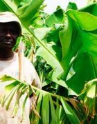 Hamidou Diaye Koïta, ex-émigré : la reconversion résiliente