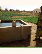 Le maraîchage écologique, une stratégie de renforcement de...