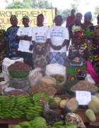 Promotion de l’égalité des sexes en milieu rural :...