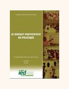 Le Budget participatif en pratique