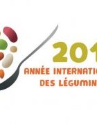 Importance des légumineuses