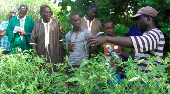 Séance d'explication entre promoteurs de l'agroécologie