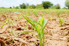 Bibliothéque et liens utiles