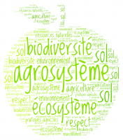 Développer l’agroécologie à grande Échelle