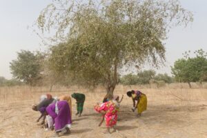 Décentralisation des Fonds Climats pour renforcer la résilience des communautés vulnérables.