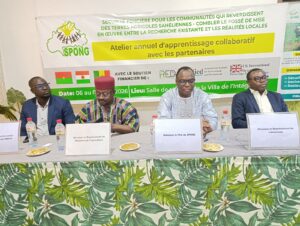 Restaurer les terres, sécuriser les droits : le consortium CRS au coeur de la dynamique de reverdissement au Sahel